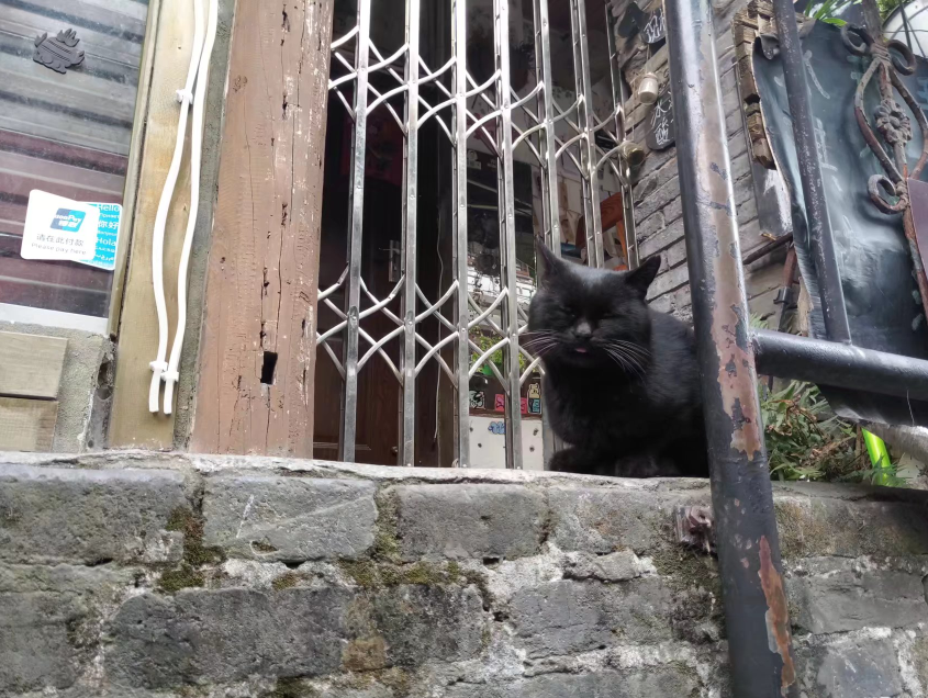 1640744473460988.png QQ截圖20211229102054.png