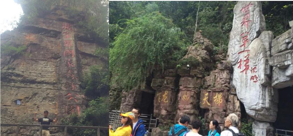 1655458203438827.jpg 3.jpg