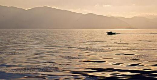 1655967301444607.jpg 1.jpg