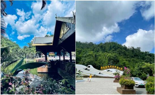 1661764313224427.jpg 1.jpg