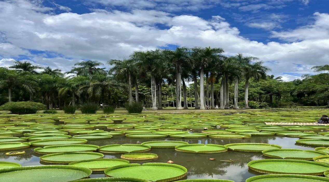 1672110901171469.png 圖片2.png