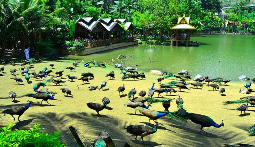 1672110959628245.png 圖片3.png