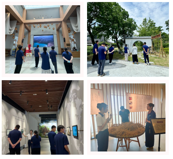 1751271642267673.png image.png